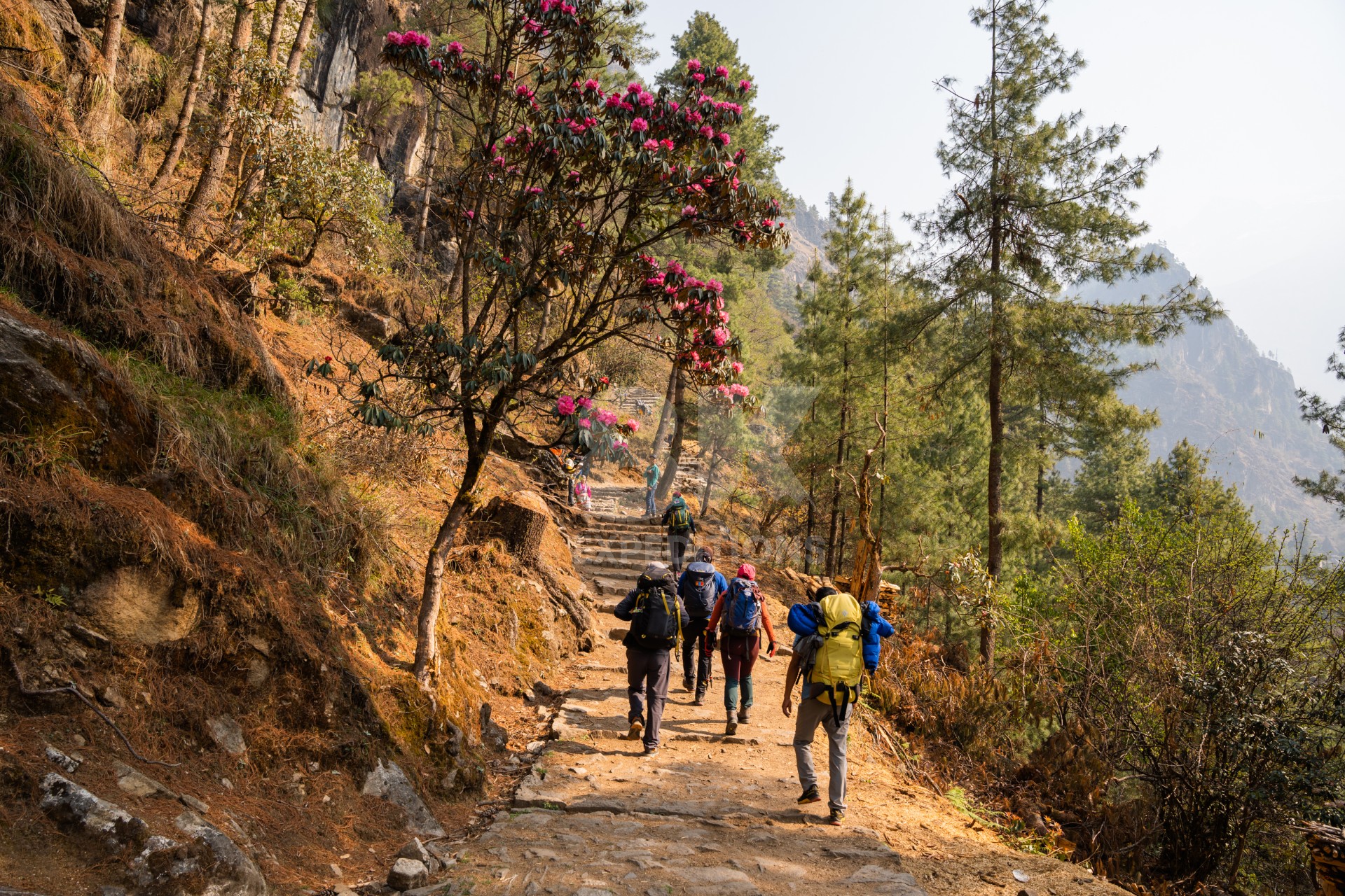 EVEREST GOKYO TREK (5,420M)