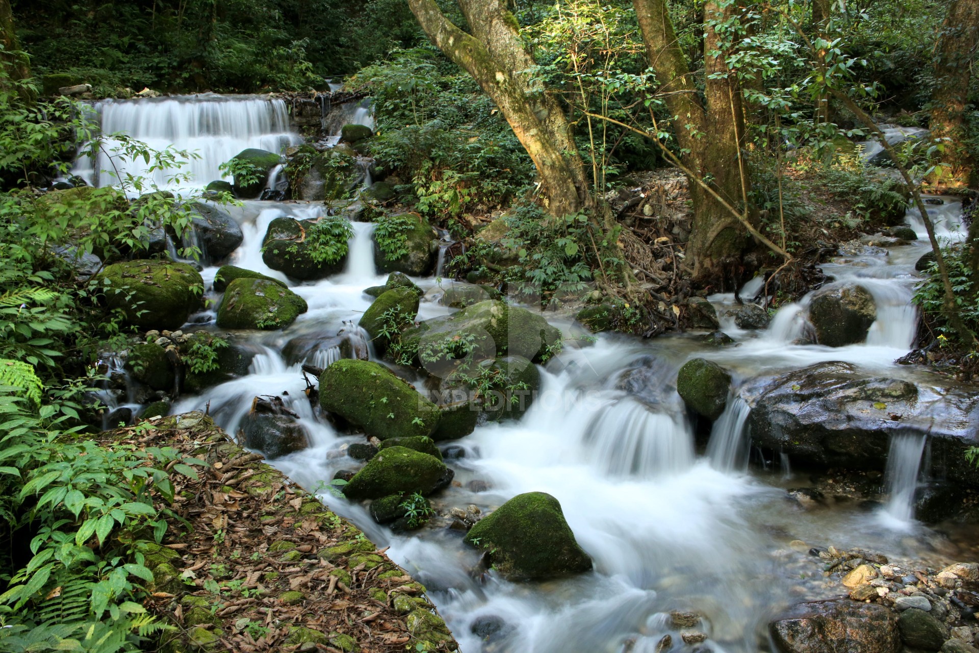 SHIVAPURI NATIONAL PARK GUIDED CITY TOUR