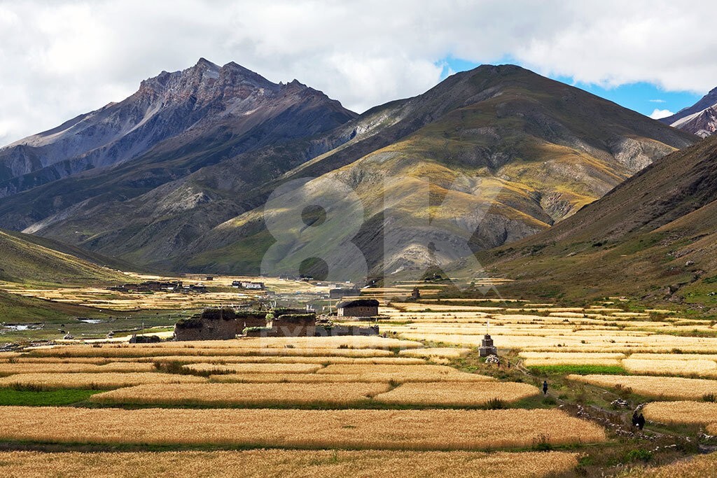 UPPER DOLPO TREK