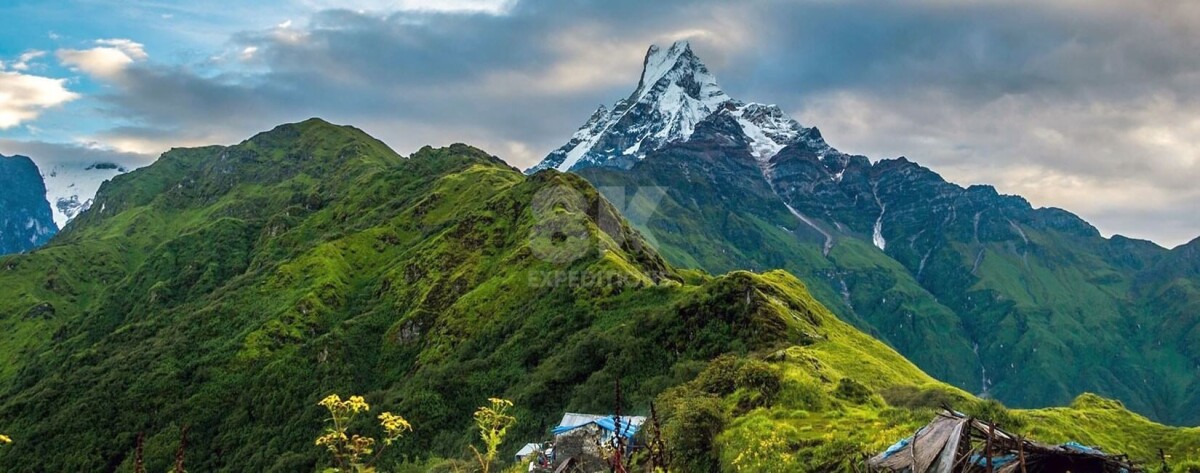 Mardi Himal Trek | Easy Trekking |